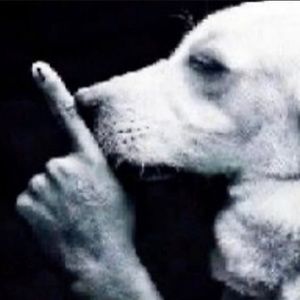 Meet your Posher, Ulises